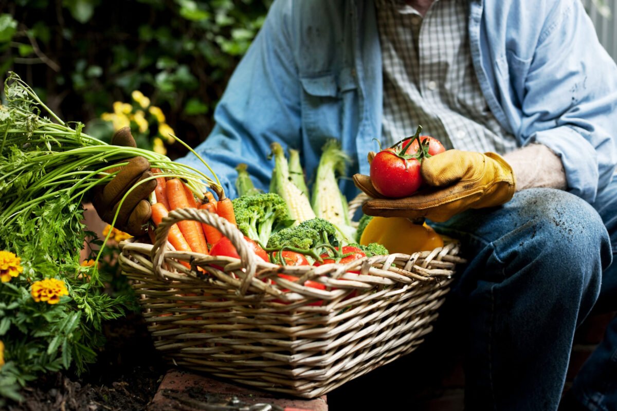 Creative Ways to Use Vegetables In Your Meals